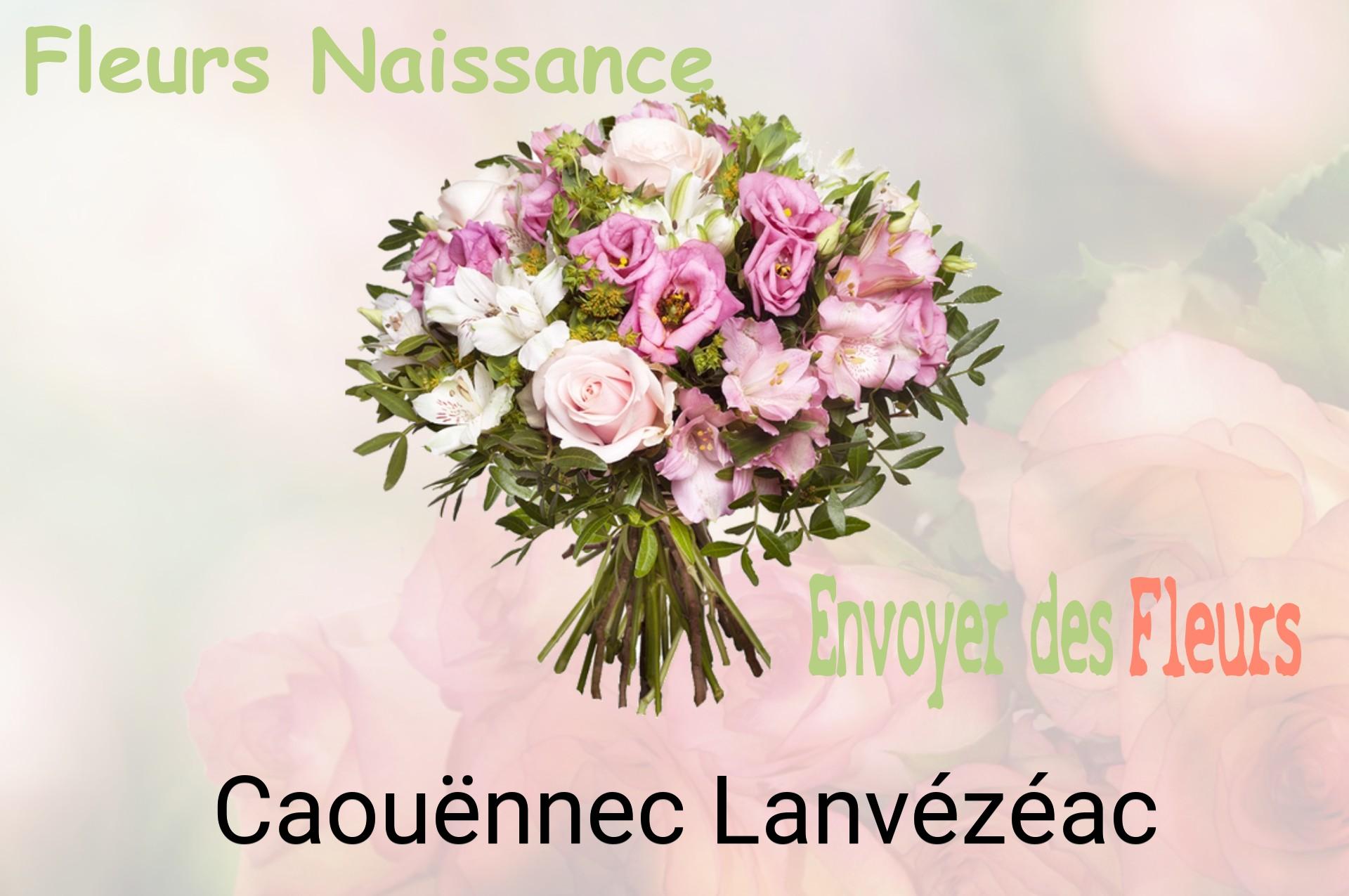 Bouquet de fleurs de naissance livré à Caouënnec-Lanvézéac